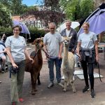 . Quelle: Alpaka-Freunde Berlin e.V.