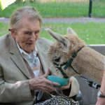 . Quelle: Alpaka-Freunde Berlin e.V.