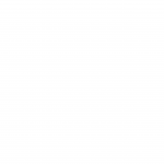 . Quelle: Alpaka-Freunde Berlin e.V.